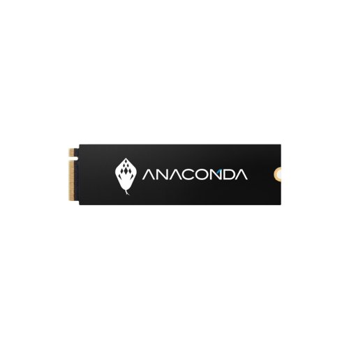 [ANACOMDA 巨蟒]《i2 256B PCIe Gen3x4 NVMe SSD固態硬碟 》讀2000M/寫1500M/裸裝 3年保